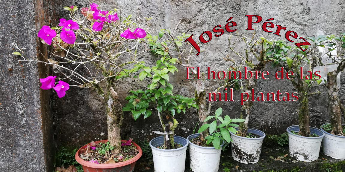 HOMBRE-MIL-PLANTAS-23