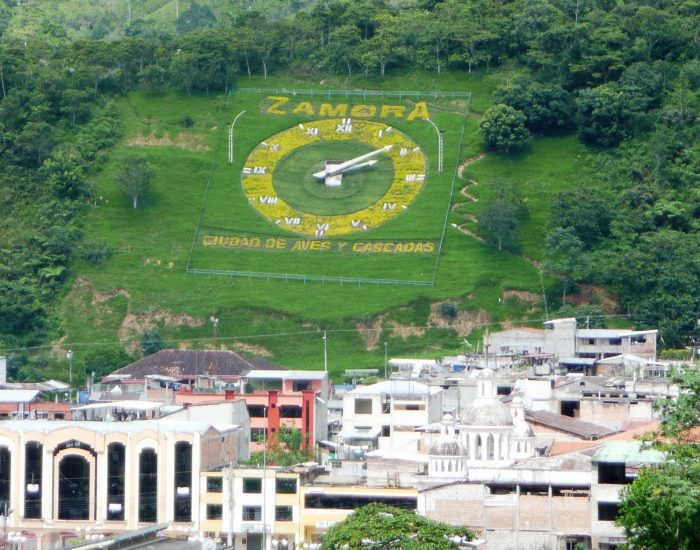 reloj zamora 2