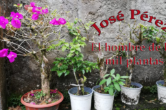 José Pérez, el hombre de las mil plantas